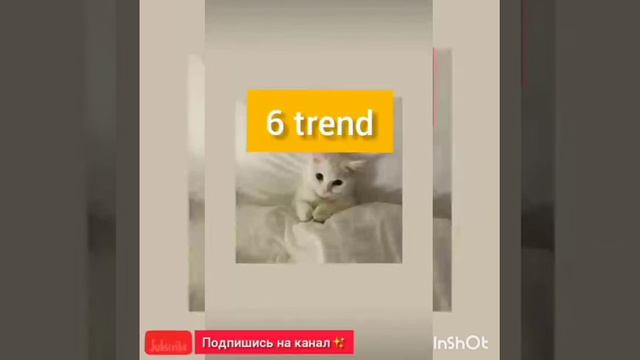 Танцуй тренд если не знаешь облей себя водой!😜💦💙 смотреть онлайн