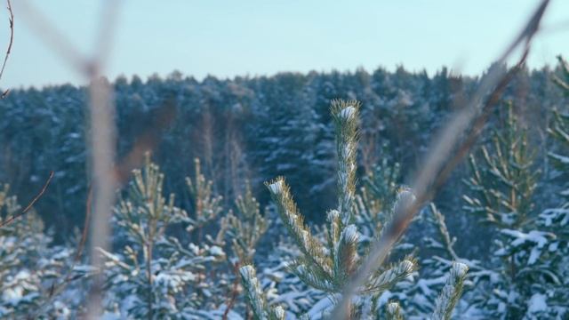 Молитва к Богу приближает | трио ПАТМОС смотреть онлайн