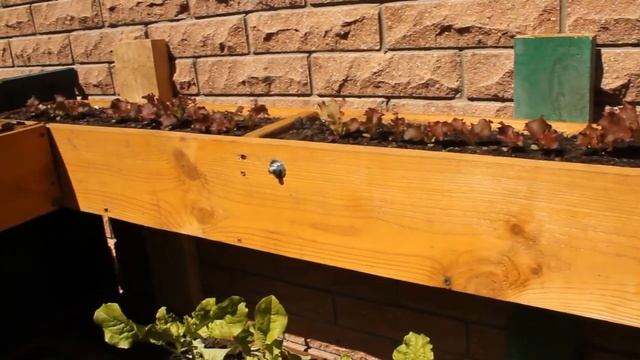 Подвесные грядки Часть 6 смотреть онлайн