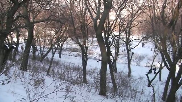 Велосанки смотреть онлайн