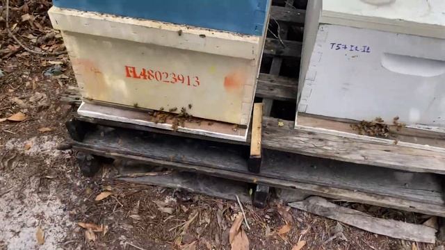 Результат обработки Муравьинкой, работает смотреть онлайн