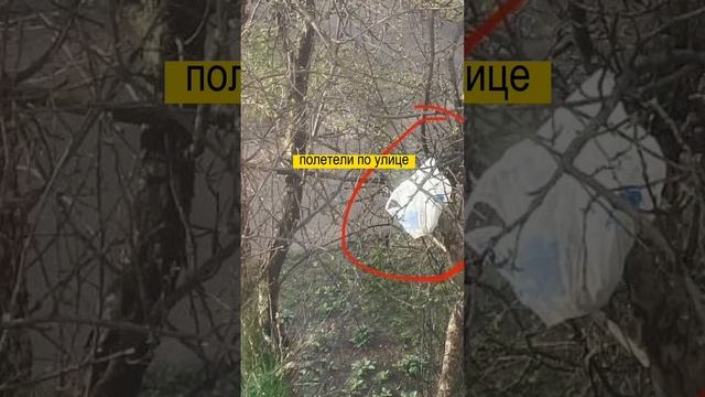 В Оренбурге скинули с балкона пакет с 715 тыс. руб. но что-то пошло не так смотреть онлайн