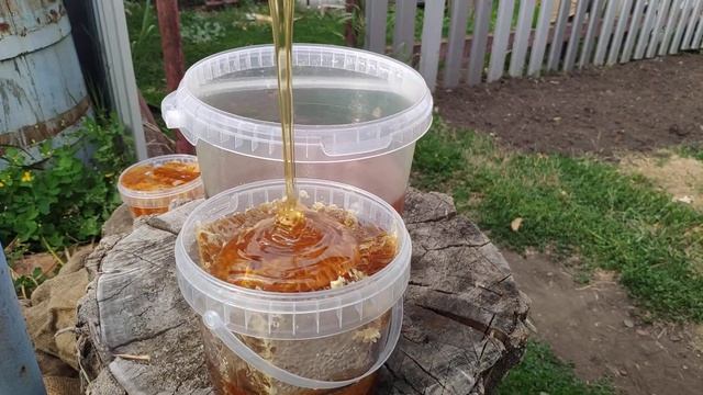 Сотовый мёд, залитый мёдом в ведерке смотреть онлайн