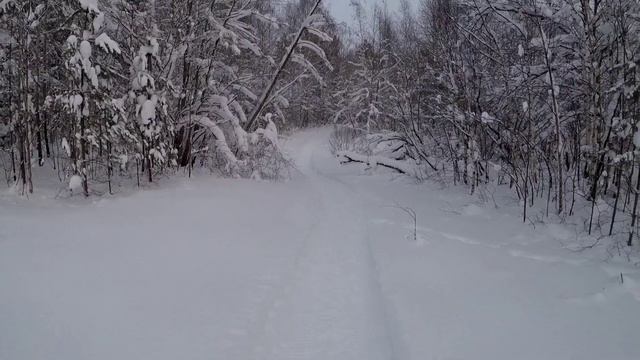Охота на тетерева/покатушки на Буране/глубокий снег смотреть онлайн