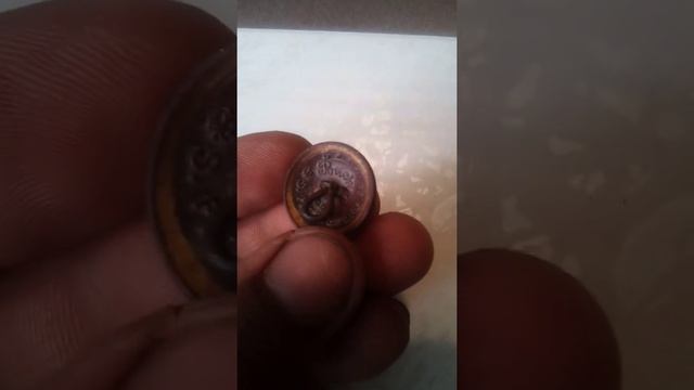 Позолоченная пуговица смотреть онлайн