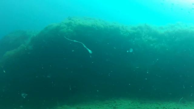 мыс херсонес лето 2013 смотреть онлайн