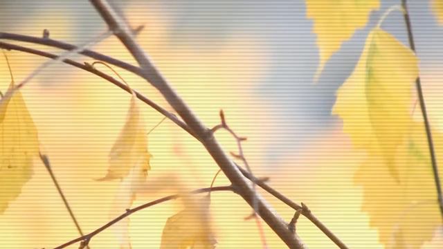 Новый фильм muvee 007 смотреть онлайн