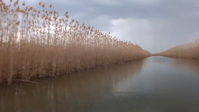 Навстречу дождю. Маково 2016 смотреть онлайн