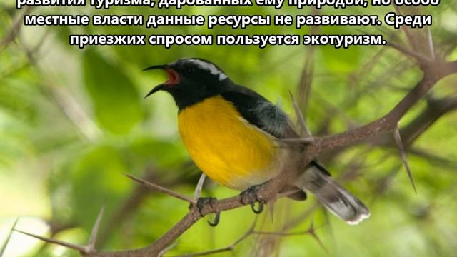 PJ5/PH2M Остров Синт Эстатиус. С сайта dxnews.com смотреть онлайн