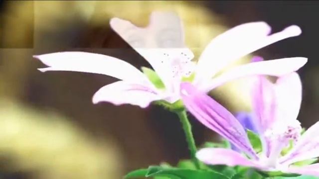 Весна в Сказке смотреть онлайн