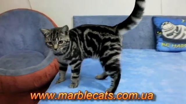 Fiona and Gabriel смотреть онлайн