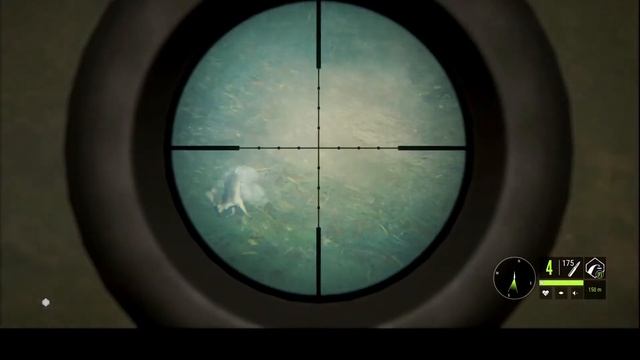 The Hunter: Call of the Wild Te Awaroa National Park Hunt смотреть онлайн