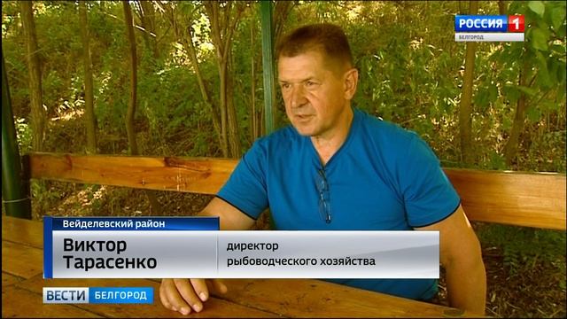 Секретами большого улова поделились в рыбхозе "Клименки" смотреть онлайн