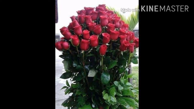Я твой ангел ты мой рай 1 часть (Gaga Laif) смотреть онлайн