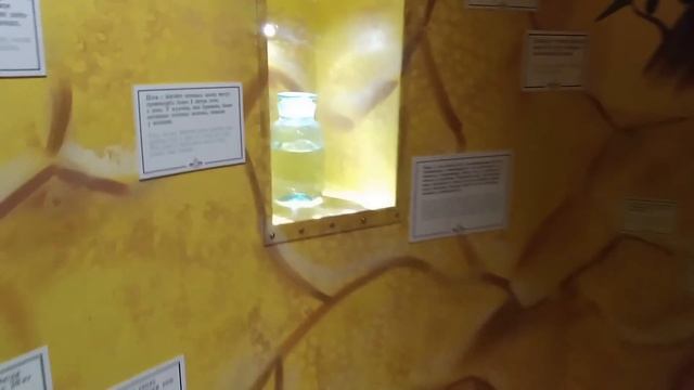 Катя Внутри Человека на ВДНХ в Москве. Katy In The Children's Museum 