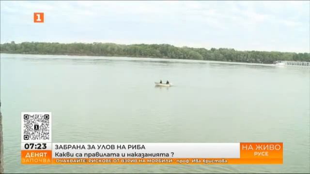 ЗАБРАНА ЗА УЛОВ НА РИБА - КАКВИ СА ПРАВИЛАТА И НАКАЗАНИЯТА ? 28.04.2023 смотреть онлайн