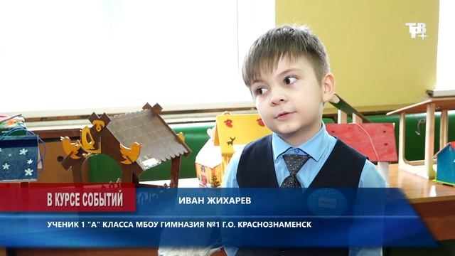 Акция «Помоги зимующим птицам» смотреть онлайн