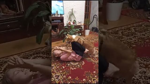 Игра с баффи смотреть онлайн