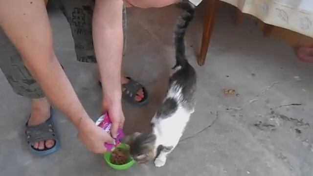 mr Фросику 3 года Праздник! Праздник! смотреть онлайн