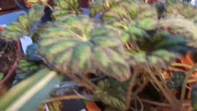 От холода до тепла смотреть онлайн