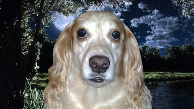 Привет, лунатики, или Когда не спится по ночам смотреть онлайн