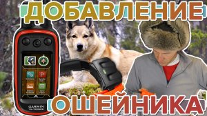 Как удаленно добавить собачий ошейник на охотничьи навигаторы Garmin