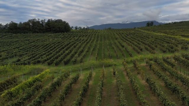 Ваш отдых в Абхазии смотреть онлайн