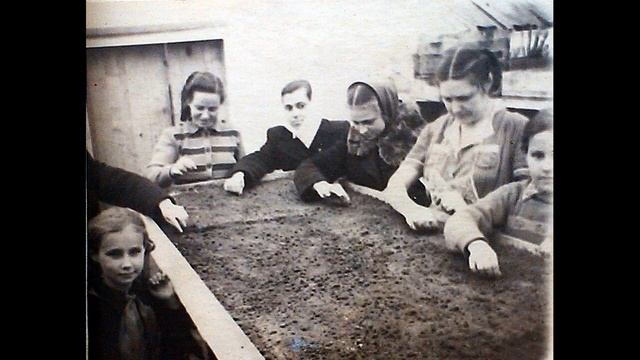 Смела. Школа № 1 в фотографиях. смотреть онлайн