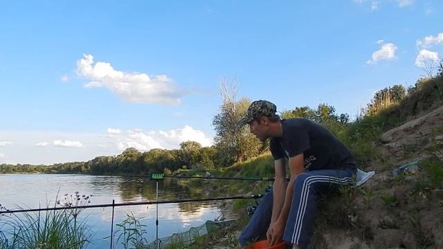 Убойный клёв Плотвы на Фидер на реке! смотреть онлайн