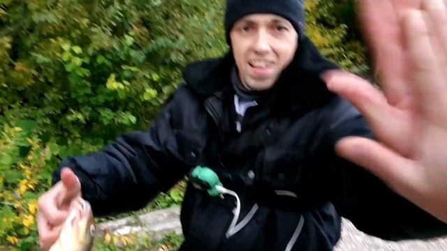 ЛЕЩ НА ВОЛГЕ! Ловля ЛЕЩА на фидер осенью! Лещ на фидер! Фидер на реке. смотреть онлайн