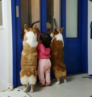 ПРИКОЛЫ С ДЕТЬМИ И ЖИВОТНЫМИ ЛУЧШАЯ ПОДБОРКА 2021