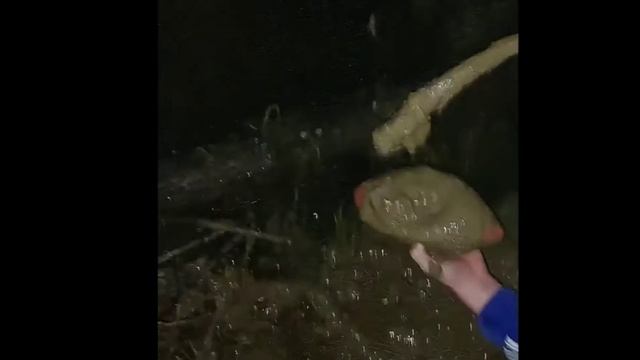 Weird creature's dinner смотреть онлайн