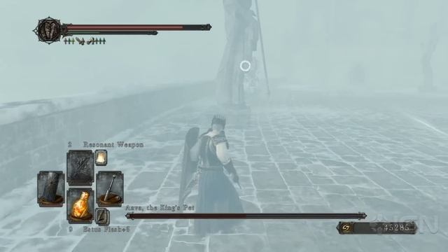 Dark Souls 2 - How to Beat Aava the King's Pet in Crown of the Ivory King смотреть онлайн