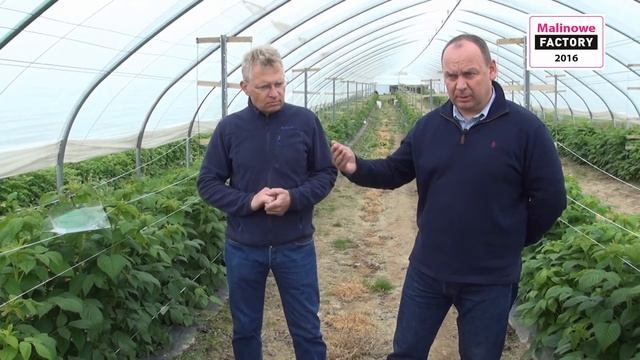 Szkodniki Malin I Możliwości Ich Zwalczania Przed Kwitnieniem