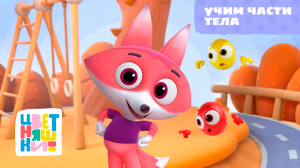 Цветняшки - Песенка из мультфильма - Учим части тела