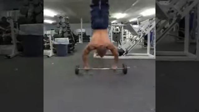 HANDSTAND PUSH UPS Стойка на руках отжимания смотреть онлайн