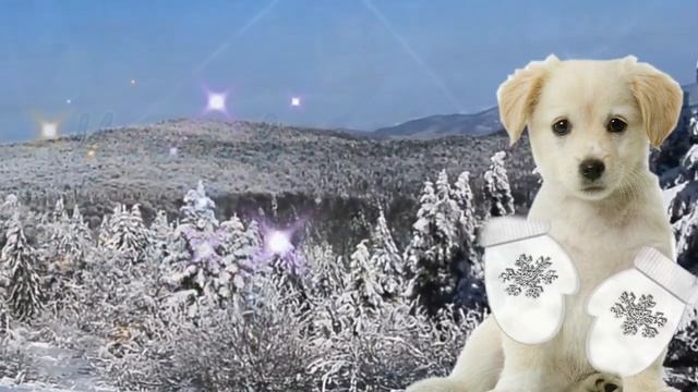 С ПЕРВЫМ ДНЕМ ЗИМЫ! С НАЧАЛОМ ЗИМЫ! Красивое поздравление С 1 ДЕКАБРЯ! СЧАСТЛИВОГО ДЕКАБРЯ! смотреть онлайн