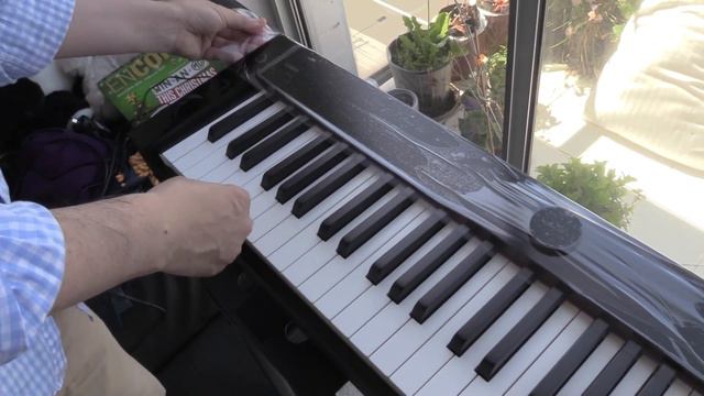 Casio PX-S7000 Digital Piano