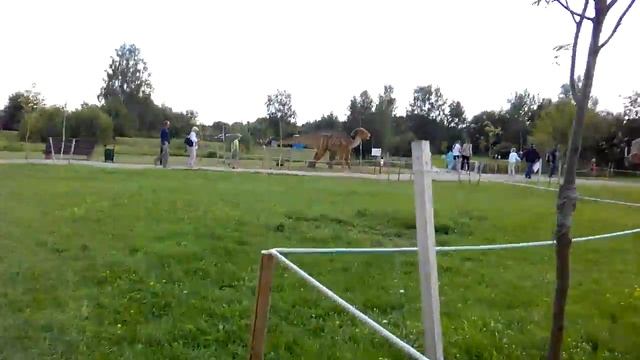 Дино парк в Минске ну ни весь смотреть онлайн