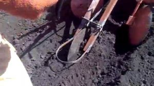 посадка картошки,мотоблок и окучники