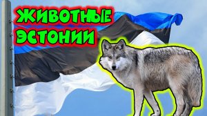 Животные Эстонии