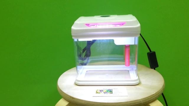 Аквариум Barbus Mini смотреть онлайн