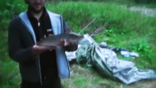 Отпускаем Таймешонка смотреть онлайн