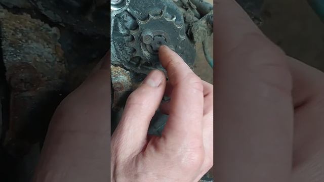 Ужасное состояние Ведущей звезды смотреть онлайн