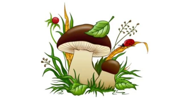 ПО ГРИБИ irina.drozdova.2010@gmail.com смотреть онлайн