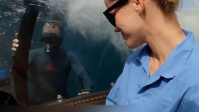 LAS CRIATURAS DE AGUAS PROFUNDAS MÁS TERRIBLES QUE NUNCA HAS VISTO ANTES смотреть онлайн