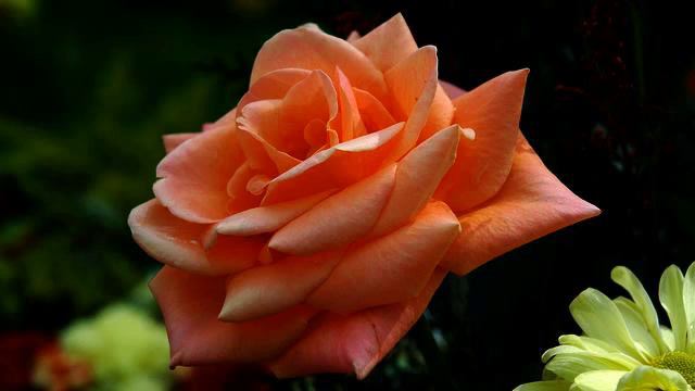 Лучшая романтическая музыка в машину в хорошем качес... смотреть онлайн