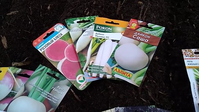 СЕЕМ РЕДЬКУ.СЕЕМ РЕПУ И ДАЙКОН. смотреть онлайн