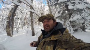 Охота в Карачаево-Черкесии .