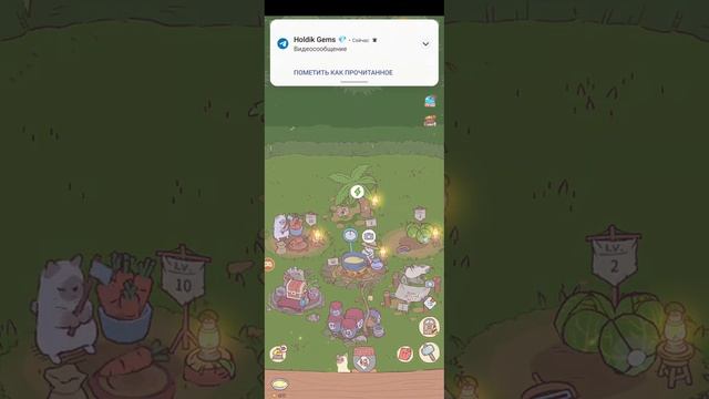 2 часть кошки и суп